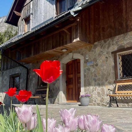 4 Elements Resort Bled Бохинийска Бела Екстериор снимка