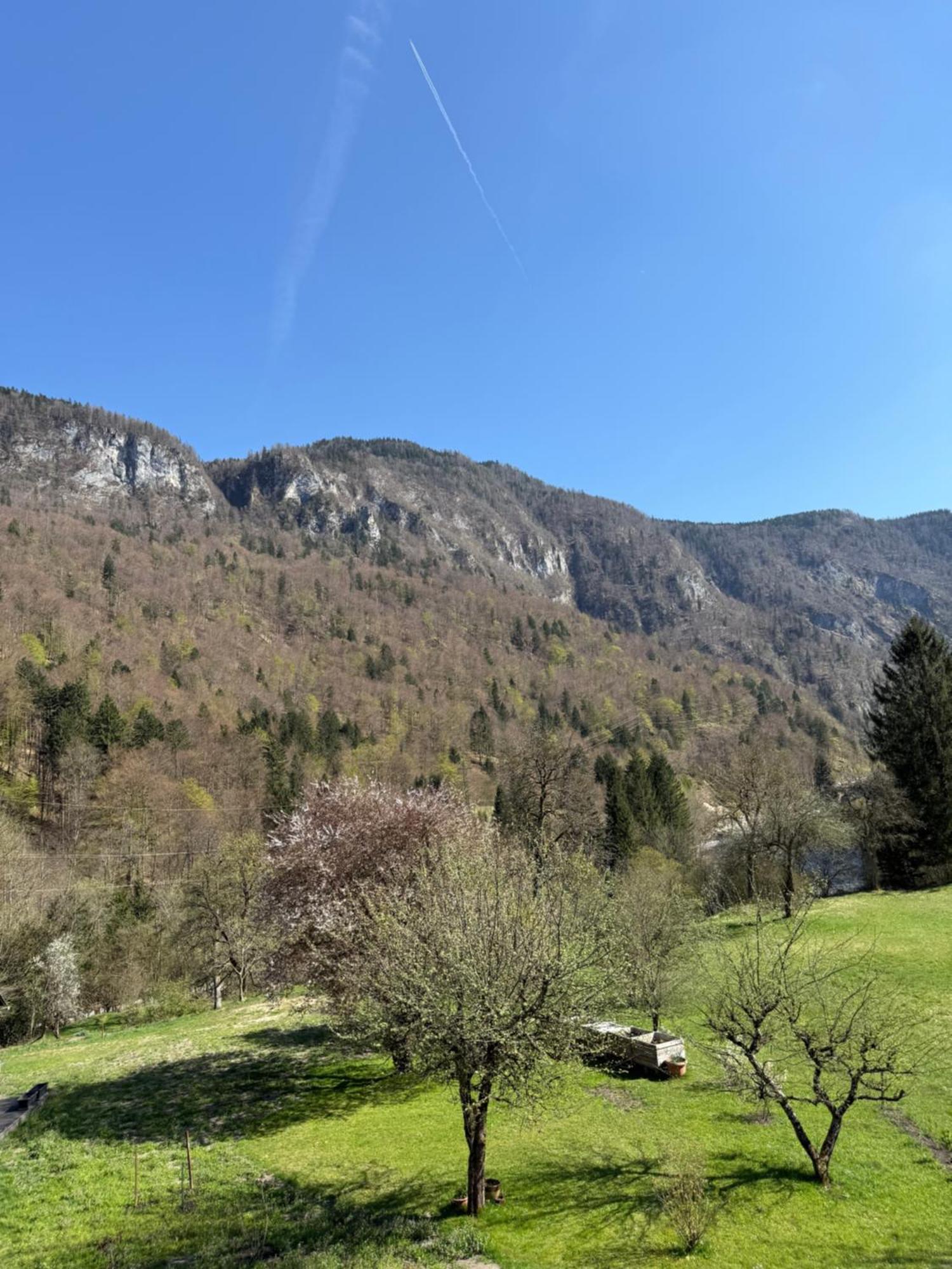 4 Elements Resort Bled Бохинийска Бела Екстериор снимка