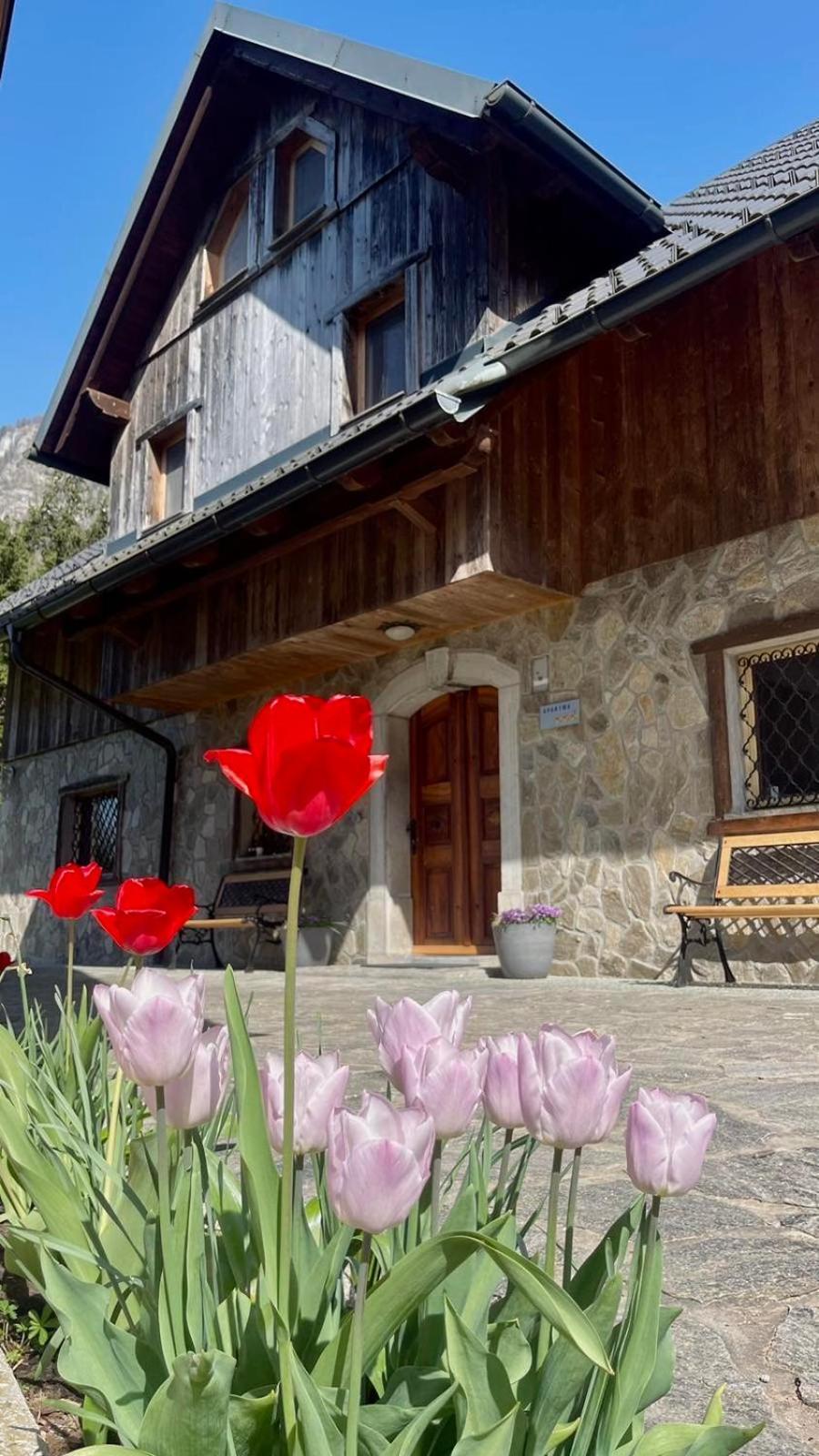 4 Elements Resort Bled Бохинийска Бела Екстериор снимка